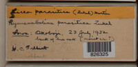 Image Associated With the Occurence